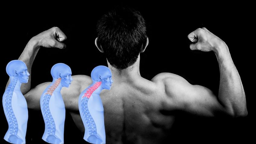 ¿Quieres corregir tu POSTURA? Estos son los mejores 3 EJERCICIOS para fortalecer espalda