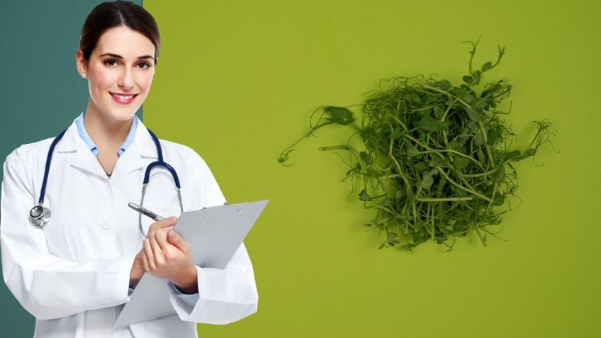 ¿Cuál es el ALIMENTO más SANO del mundo según la CIENCIA?