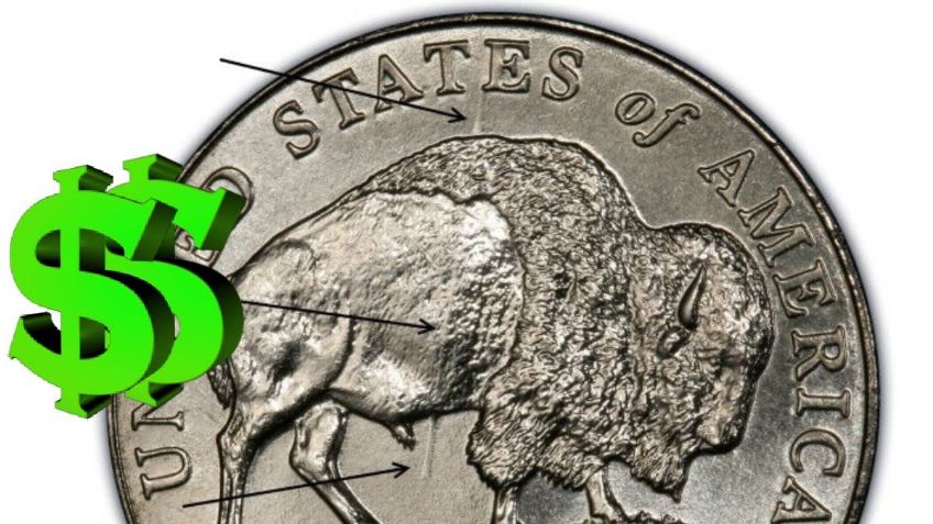 ¿Cómo es la rara moneda con un bisonte que vale más de 30 mil pesos? (FOTOS)