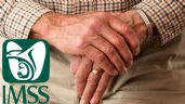 Pensión IMSS: ¿Por qué algunos pensionados recibirán más DINERO en el depósito de mayo?