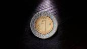 Entregan hasta 25,000 pesos al propietario de esta moneda de 1 peso con estas características