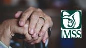 Pensión IMSS: revelan el secreto para obtener un PAGO mensual más alto a jubilados