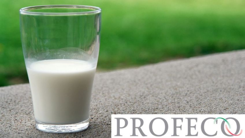 Estas son las 3 marcas de LECHE que NO son recomendadas por la Profeco