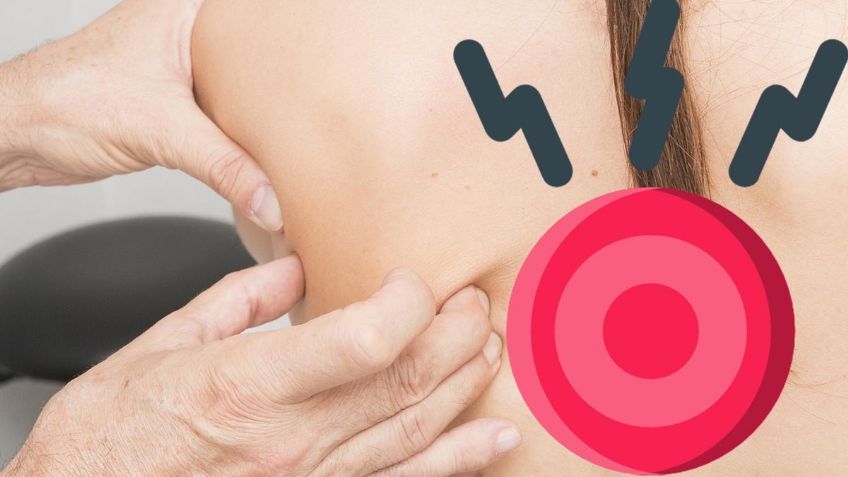 Conoce los 5 EJERCICIOS FÁCILES para aliviar el dolor en la espalda baja | Tips