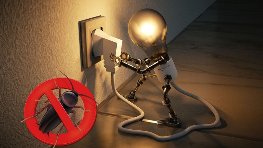 ChatGPT: ¿Cómo saber si hay CUCARACHAS en un enchufe? 3 formas de eliminarlas sin riesgo