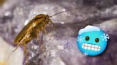 ¿Se puede usar HIELO para eliminar a las cucarachas? ChatGPT aclara las dudas