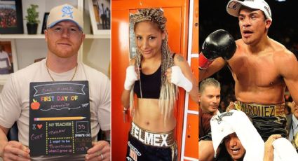 ¡Canelo Álvarez sigue sus pasos! Los boxeadores que tienen un título universitario