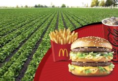 Foto ilustrativa de nota McDonald’s lleva el sabor del campo mexicano a la cancha mundialista