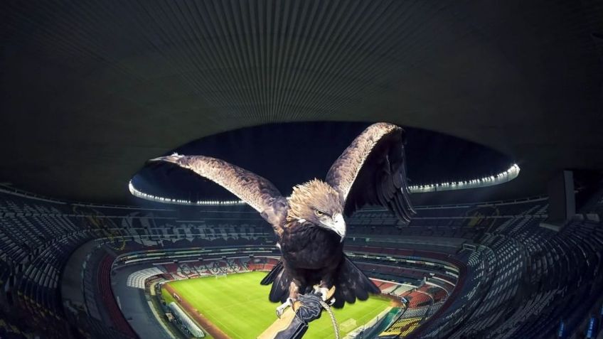 Feliz cumpleaños; el América celebra 104 de existencia