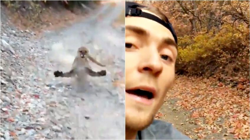 Puma persigue a corredor Kyle Burgess durante seis minutos (VIDEO VIRAL)