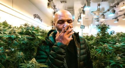 Mike Tyson y Roy Jones Jr. podrán consumir mariguana antes de su pelea