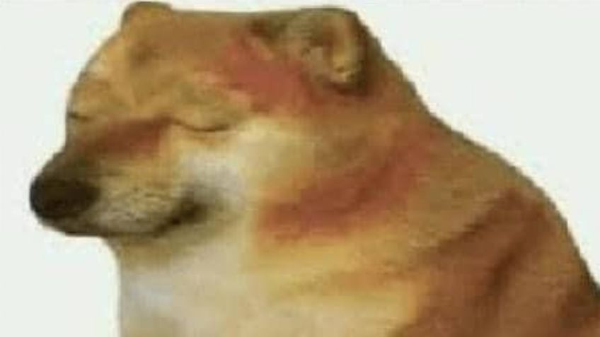 MEMES echan sal a la herida de Pumas y destacan título de León