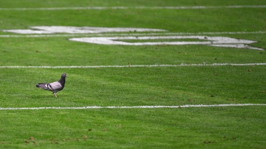 NFL: Horarios, canales de TV y dónde ver en vivo los partidos de la Semana 15