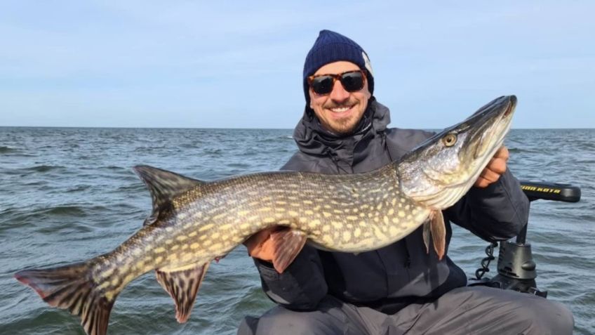 Ibrahimovic y su nueva locura: compró un bosque en Suecia para cazar y pescar