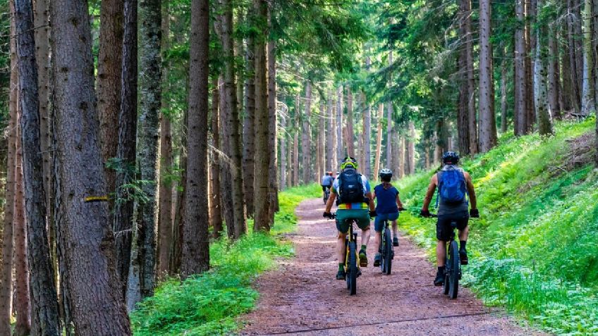 ¿Cuáles son las mejores rutas ciclistas en México?
