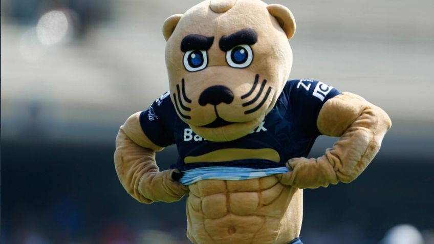 De Goyo a Súper Pepino: Las mejores mascotas en el mundo de los deportes