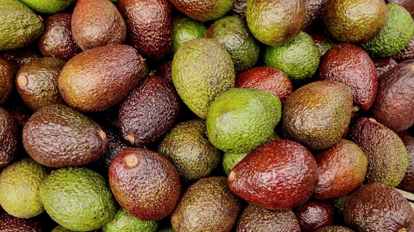 NFL: México enviará más aguacate a Estados Unidos para el Super Bowl LV