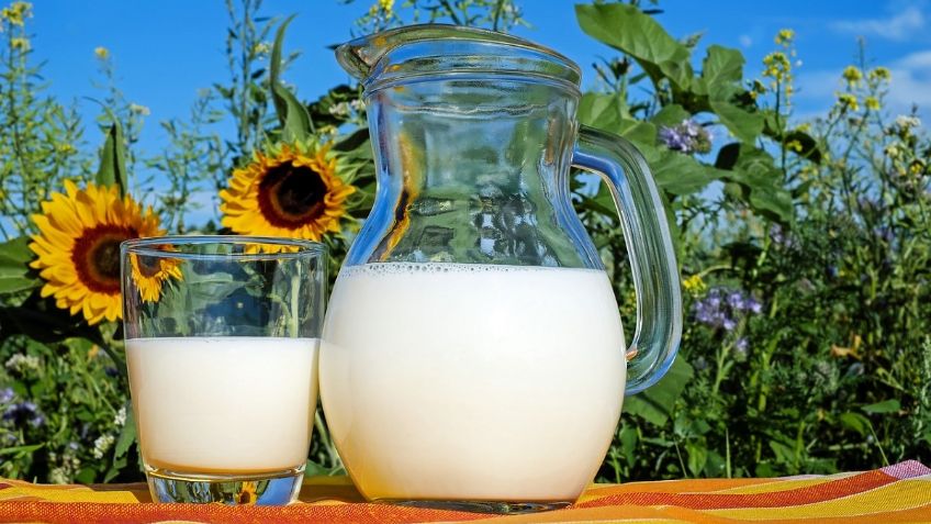 Ejercicios: ¿Qué es el ácido láctico, para qué sirve y qué alimentos lo contienen?