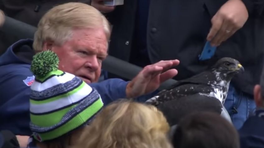 NFL: Mascota de Seattle Seahawks aterriza en cabeza de un fan durante juego contra LA Rams (VIDEO)
