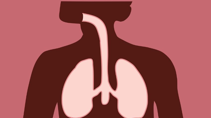 Cuida la salud de tus pulmones con estos 5 sencillos ejercicios