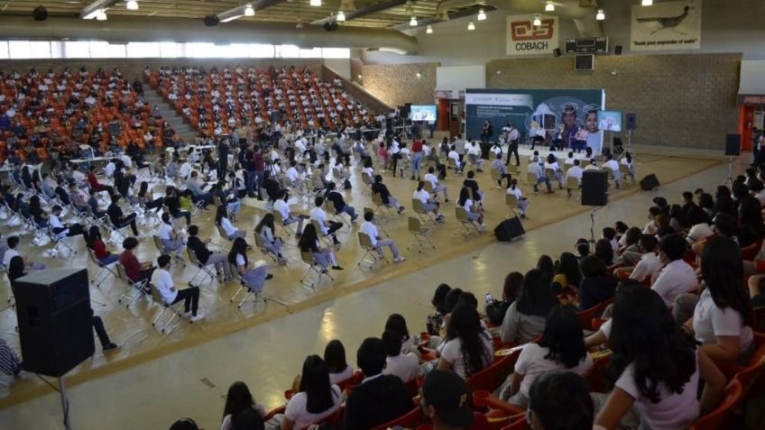 SEP: ¿Cómo descargar boletas de calificaciones en el celular? Aquí Paso a paso