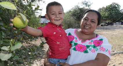 Apoyo a Madres Solteras 2021: ¿Cómo saber si eres beneficiaria para el pago?