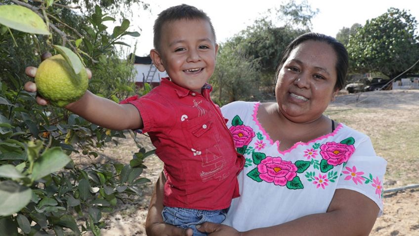 Apoyo a Madres Solteras 2021: ¿Cómo saber si eres beneficiaria para el pago?