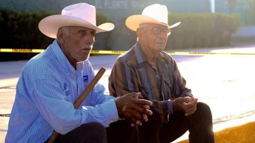 Pensión Bienestar 2021: ¿Cómo consultar la lista para saber si eres beneficiario?