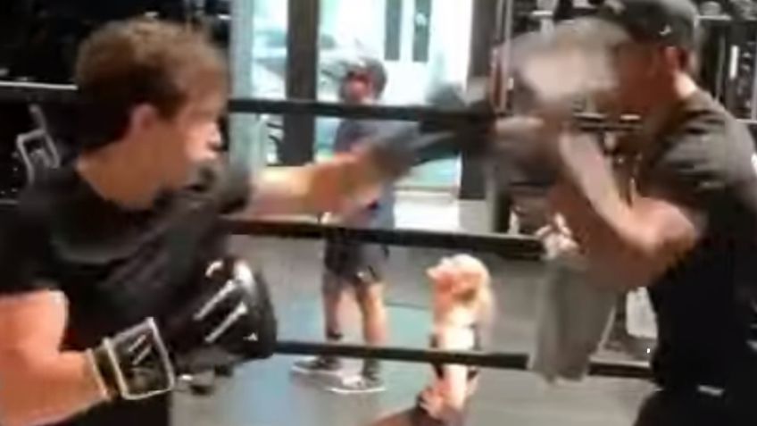 Spider-Man No Way Home: El Hombre Araña practica box; Tom Holland en el ring (VIDEO)