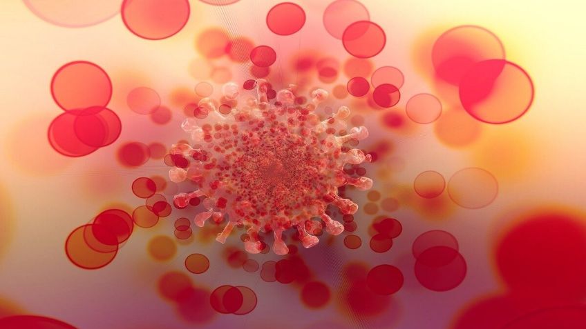Variante Ómicron: ¿Cuáles son los síntomas y qué tan mortal es?