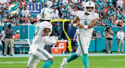 Qué canal transmite Dolphins vs Giants por TV EN VIVO: Semana 13 de la NFL