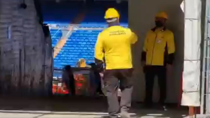 Pingüinos aparecen en el Santiago Bernabéu ¿fake o real? (VIDEO VIRAL)