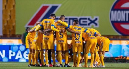 Tigres tendrá nuevo estadio si Samuel García gana las elecciones de Nuevo León