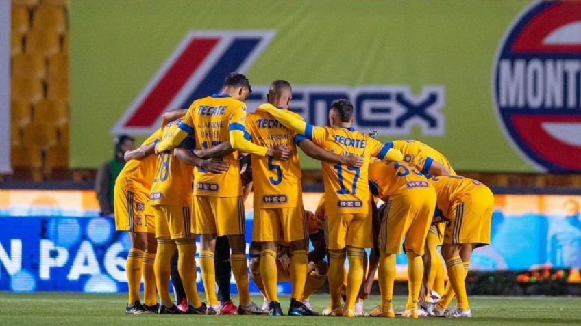 Tigres tendrá nuevo estadio si Samuel García gana las elecciones de Nuevo León