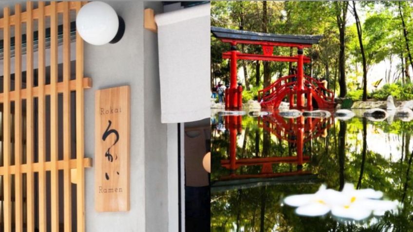 Tokio en la CDMX: 5 lugares para sentir el ambiente japonés en la ciudad