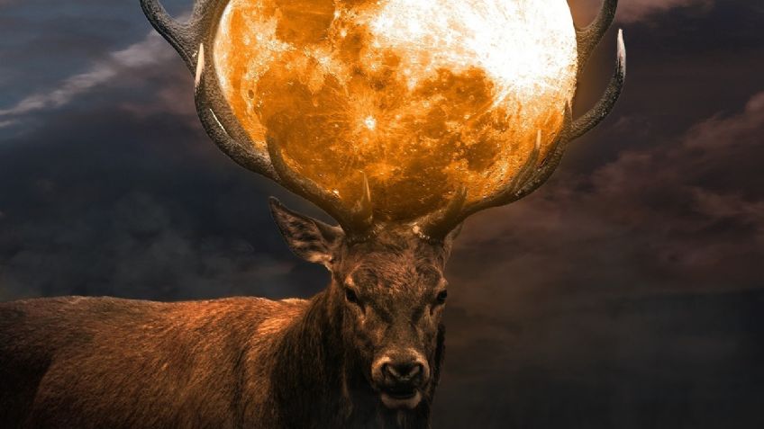Luna llena de Ciervo: ¿Qué es este fenómeno y cómo verlo HOY en México?