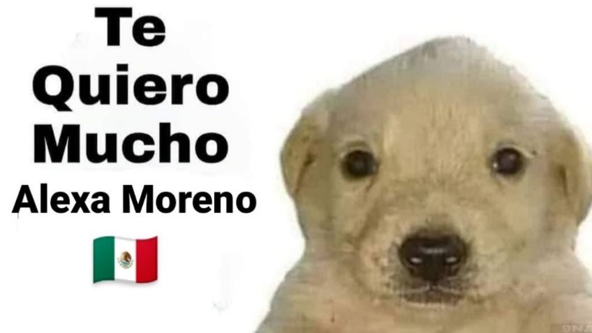 MEMES felicitan a Alexa Moreno por su cuarto lugar en salto de caballo en Tokio 2020