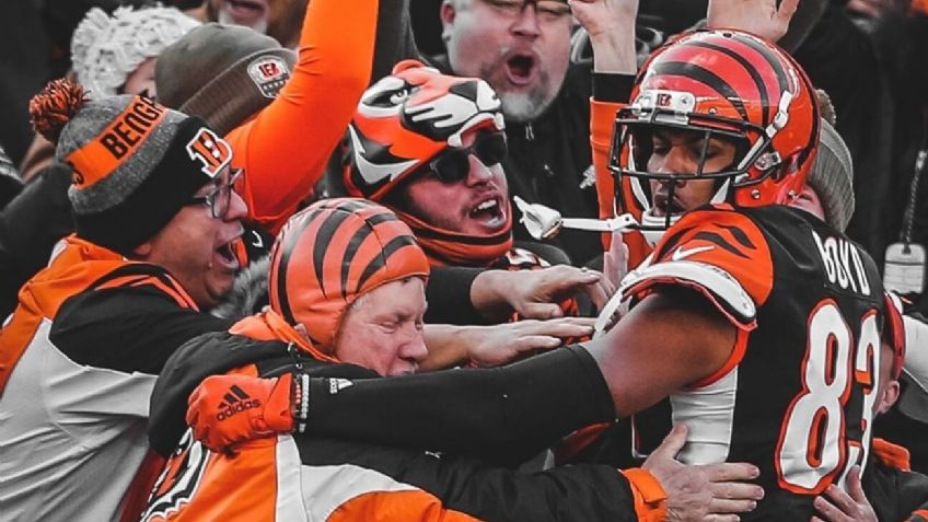 NFL: Estudio revela cuánta cerveza bebe en promedio un aficionado