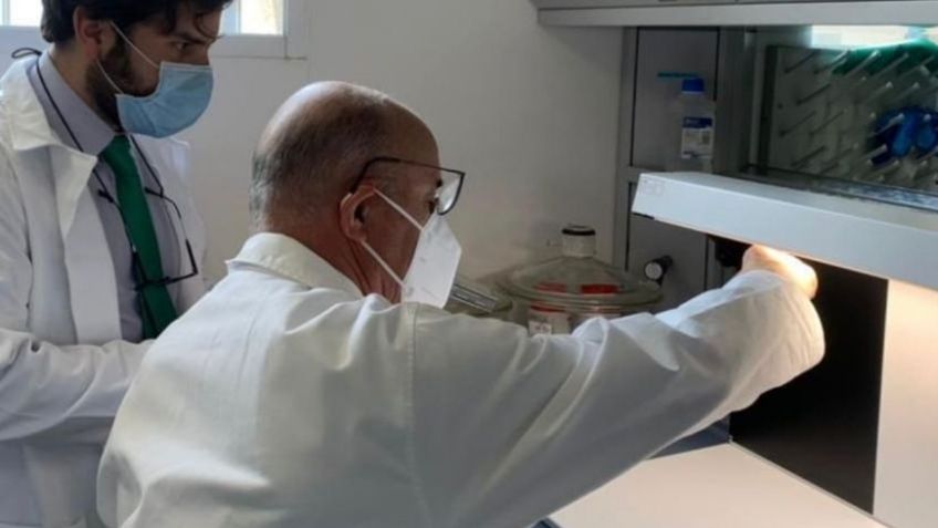 Vacuna Covid-19: ¿Cuál es la efectividad de los 8 tipos que se aplican en México?