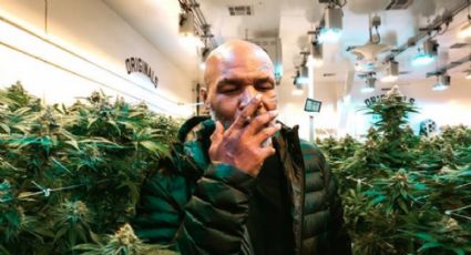 Día Mundial de la Marihuana: ¿dónde comprar las gomitas de Mike Tyson?