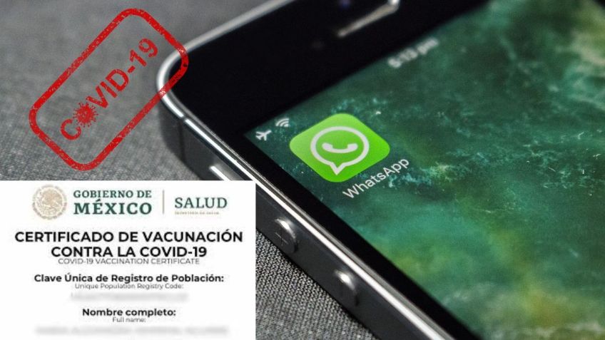 WhatsApp: ¿Cómo descargar gratis tu certificado de vacunación?