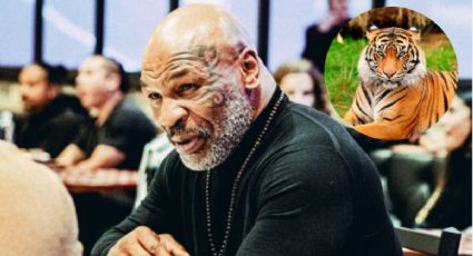 Mike Tyson regresa: Así se recupera de la bancarrota. ¿Cuánto gana al mes?