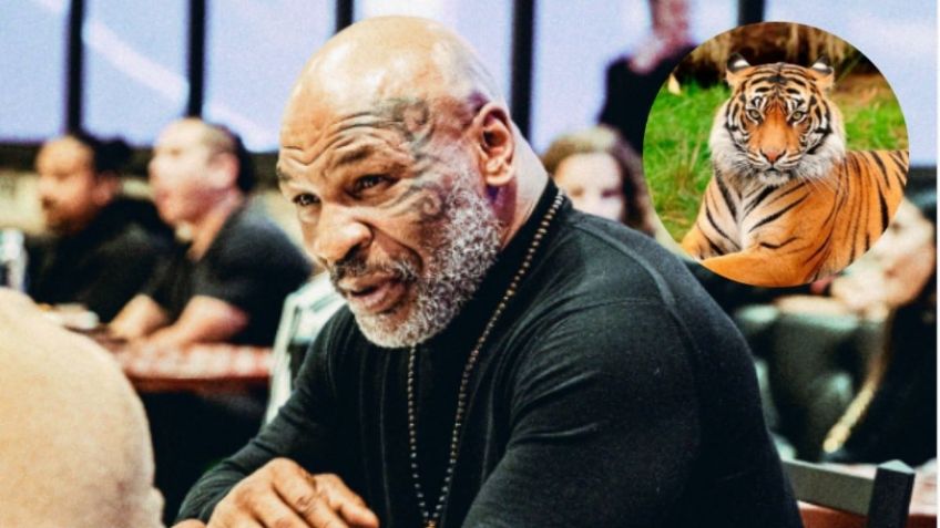 Mike Tyson regresa: Así se recupera de la bancarrota. ¿Cuánto gana al mes?
