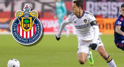 ¿Chicharito volverá a Chivas? Esto dicen Amaury Vergara y Fernando Hierro