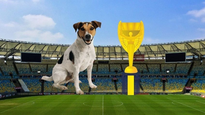 Copa del Mundo: El perro que ‘levantó’ el trofeo del Mundial en Inglaterra 1966