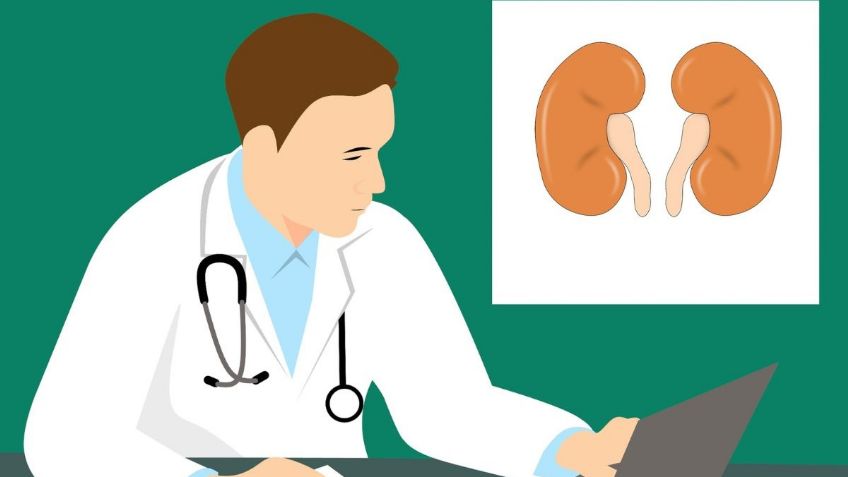 ¿Cómo limpiar los riñones de forma natural? Lo que debes tomar