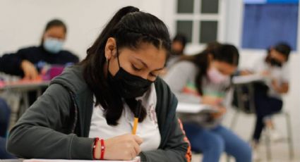 SEP: Todos los días que NO habrá clases en noviembre