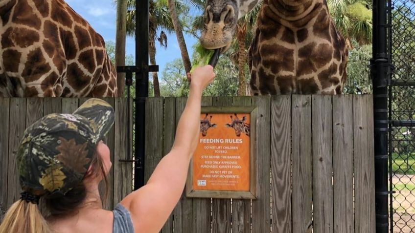 5 FOTOS de Sara Lee, la luchadora fallecida de la WWE