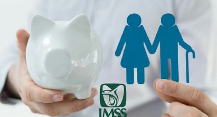 Pensión IMSS: ¿Cuáles son los dos tipos de pensiones en la modalidad 40?