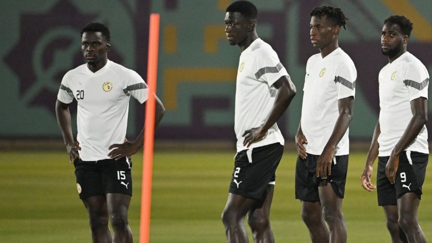 Pronósticos: Senegal vs Holanda | Apuestas Grupo A Qatar 2022